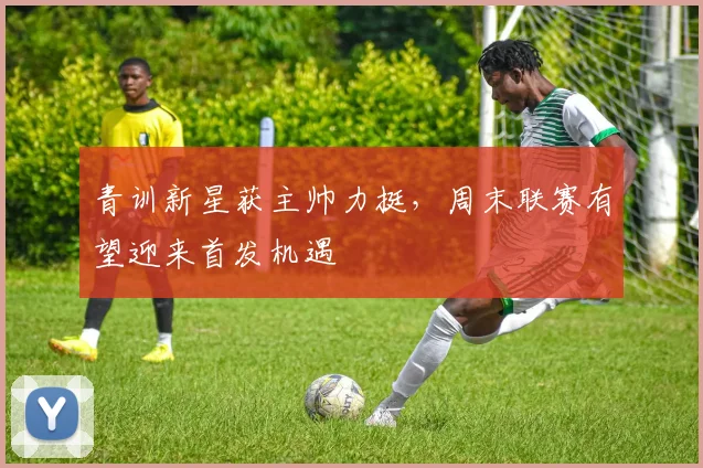 青训新星获主帅力挺，周末联赛有望迎来首发机遇