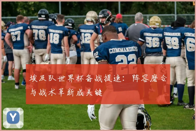 埃及队世界杯备战提速：阵容磨合与战术革新成关键
