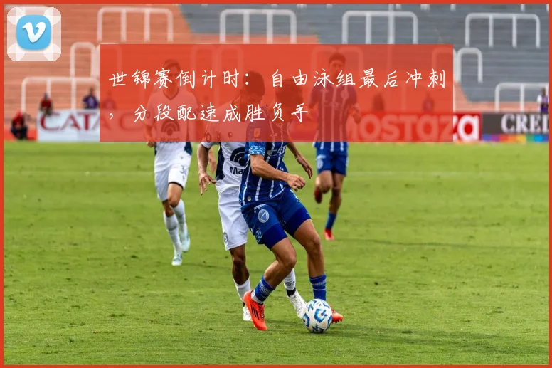 世锦赛倒计时：自由泳组最后冲刺，分段配速成胜负手